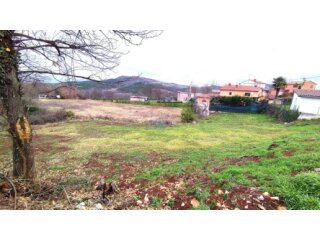 Istra,okolica Karojbe,građevinsko zemljište