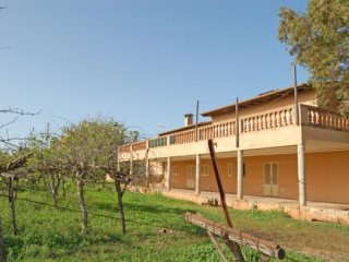 Fruit Farm With Enormous Potential In..