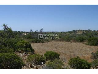 Great Plot of land