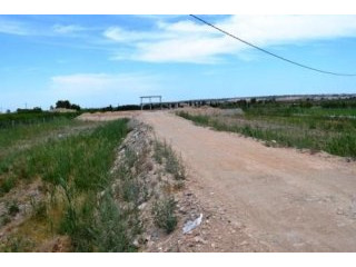 Land In Dolores