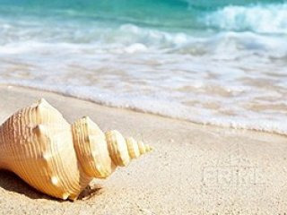 Land in Paphos, Cyprus, for Sale -..