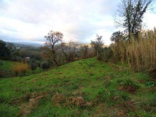 Large Building Plot Near Alvaiazere..