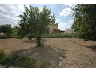 Plot - Calvia
