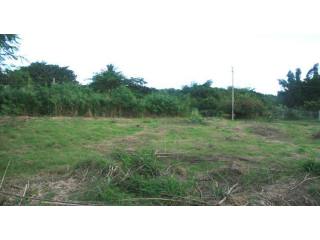 Property For Sale: Westport Lot, St...