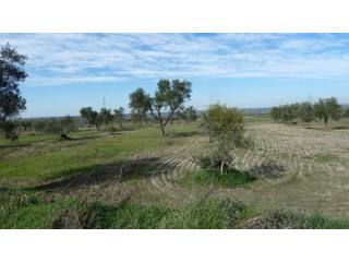 Land - Awaiting further details for..