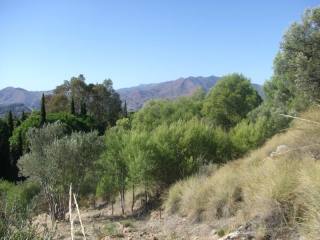 Land - UNIQUE OPPORTUNITY TO PURCHASE A..