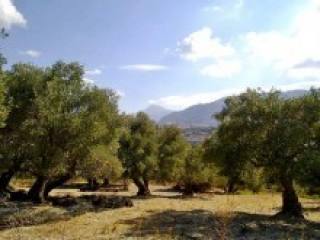 Residential Land Property Crete