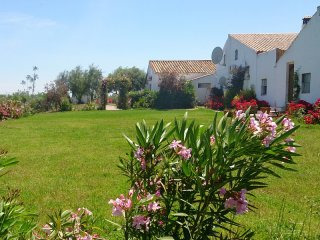 Sevilla Cortijo*