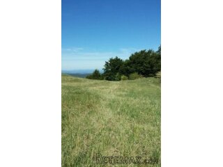 Plac ispod Cigote-Zlatibor
