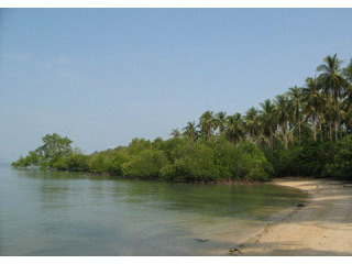 Headland of 8.83 Rai on Koh Yao Noi..