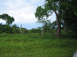 Beautiful Lot For Sale In Cabarete