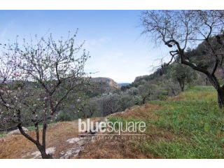 Beautiful plot in Benissa