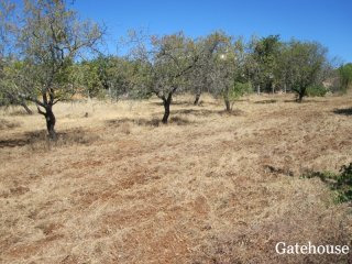 Plot With Project For Sale In Sao Bras..