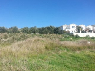 - Land - Paphos - For Sale