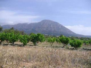 Plot in Javea