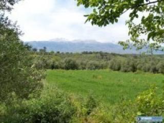 Olive Grove :: Building Plot For Sale..