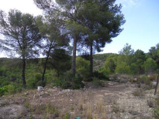 Plot in Javea