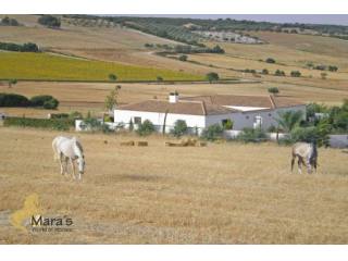 Finca Reitimmobilie, Arcos de la..