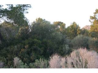 Flat Plot Of 2.000 M2 In One Of The..