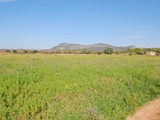 Rustic Plot Near Llucmajor