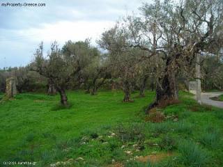 Land - Zakynthos - For Sale
