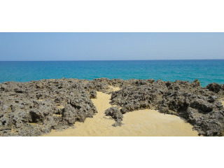 Oceanfront Lot In Sosua For Sale
