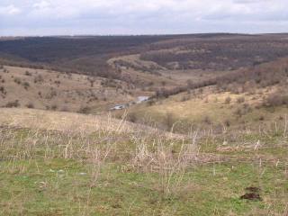 Land in Sernets, Dobrich