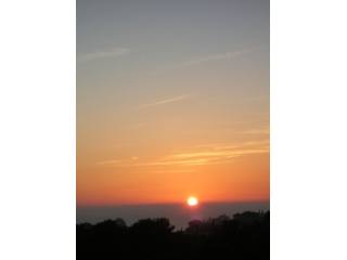 1 Bed Apartment for sale in Calahonda
