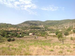 Spacious building plot in best area in..