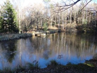 Fishing Lake Of ~2300 Sqm On 8103 Sqm..