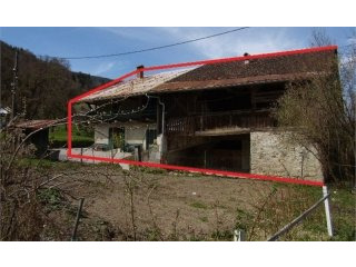 Farm To Renovate, Morillon