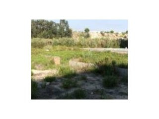Land , Torres Vedras