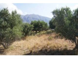Rethymnon Plot For Sale