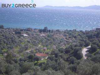 Β198 - Land parcel of 5500 sqm ,at..