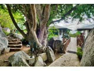 Virgin Gorda Virgin Islands, British 3..