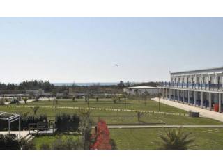 HOLIDAY APARTMENTS IN TUSCANY
