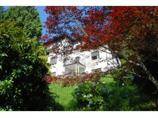 7 bedroom Villa For Sale: Gignese, IT