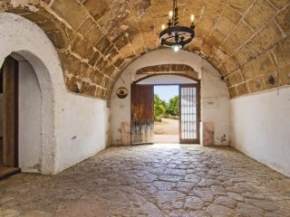 Old Mill To Reform Near Palma