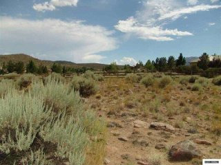 Land For Sale: Reno, Nevada