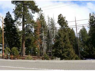 Land For Sale: Tahoe City, California