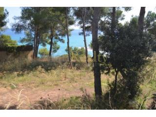 The plot for the home of your dreams in..