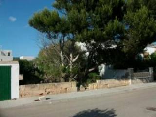 Mallorca, Son Serra de Marina, plot for..