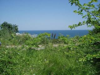 1,000 sqm of Land with Sea View