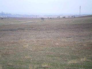 Land in Sunny Beach