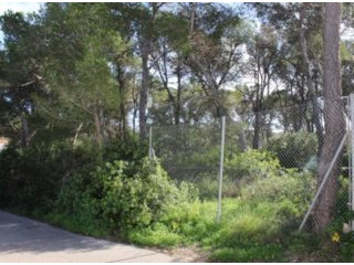 Plot in Javea