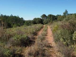 Non constructible leisure land of 12810..