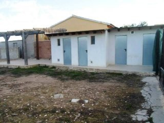 FinAl, Finca of 6000m2 in Algorfa for..