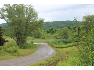 Land For Sale: 549 Old Route 22 Amenia..