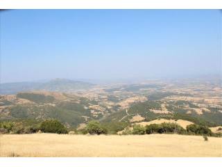 B313 - Land parcel of 40000 sqm in..