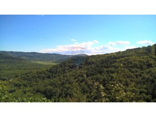 Livade, kuća okružena zelenilom, 80m2